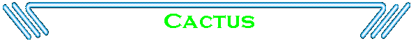 Cactus