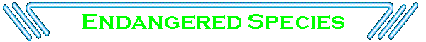 Endangered Species