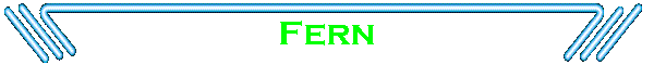 Fern