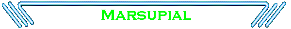 Marsupial