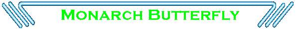 Monarch Butterfly